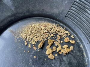 gold nugget paydirt