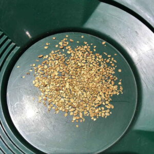 gold nugget paydirt